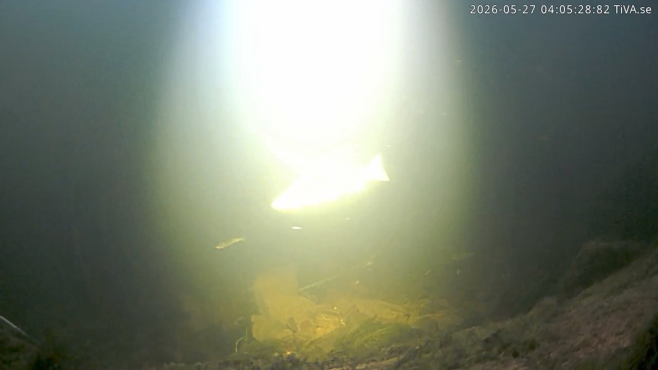 Video 2026-05-27 04:05