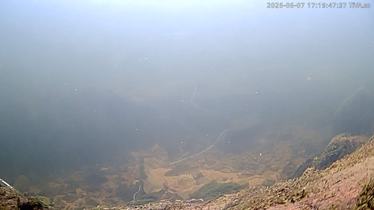 Video 2026-06-07 17:19