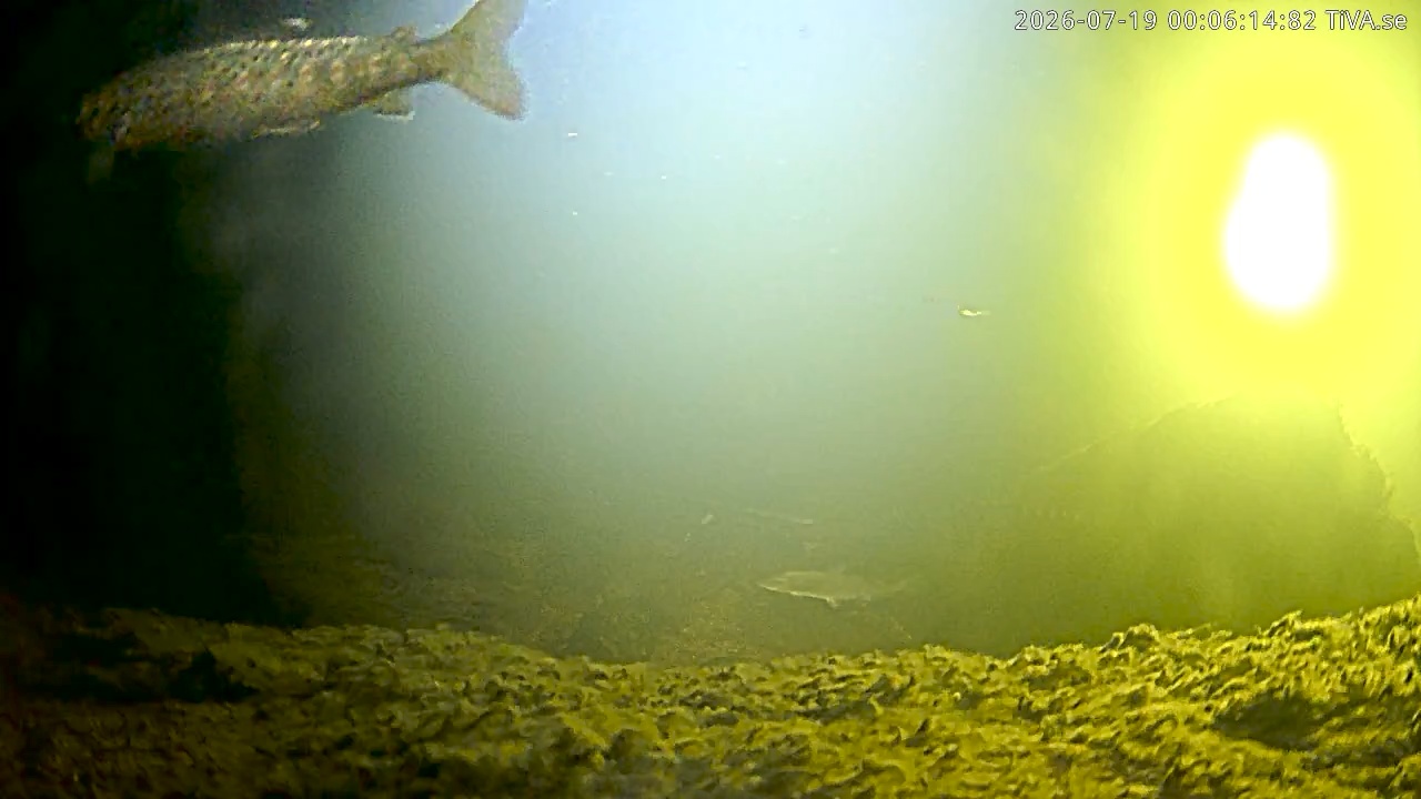 Video 2026-07-19 00:06