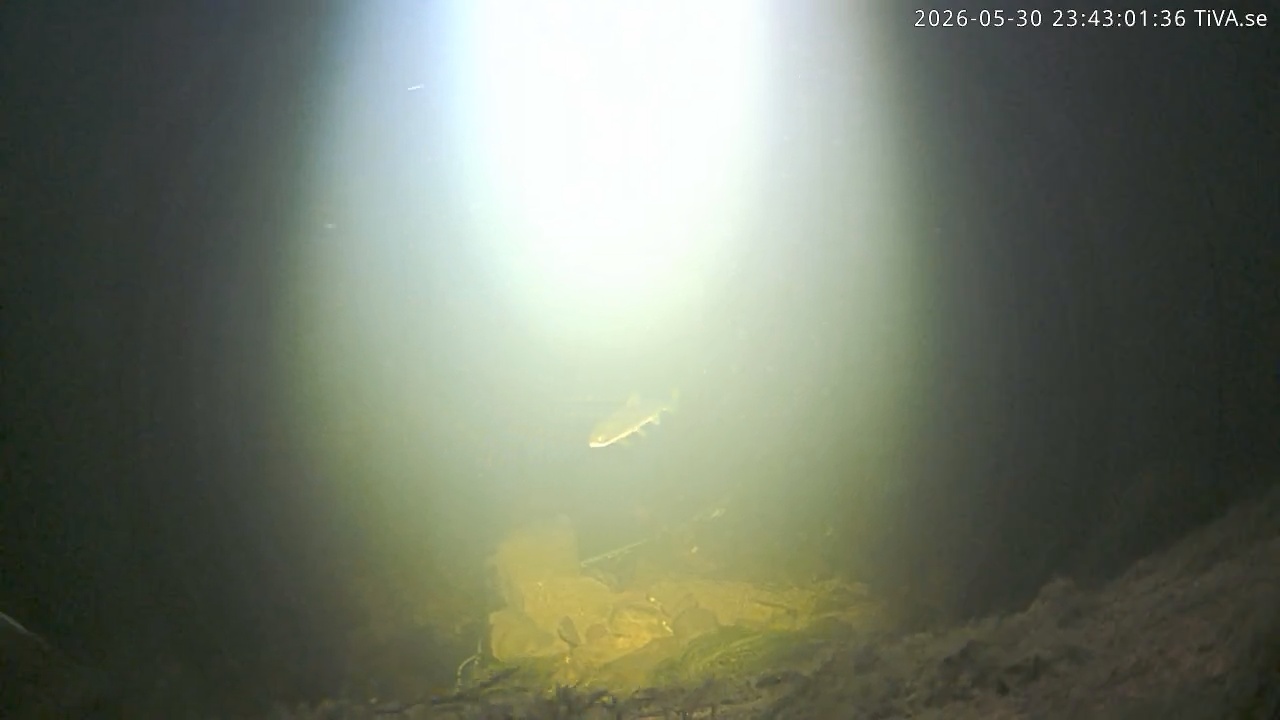 Video 2026-05-30 23:43