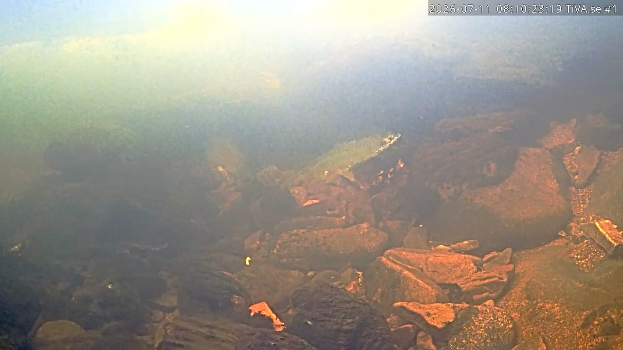 Video 2026-07-11 09:10