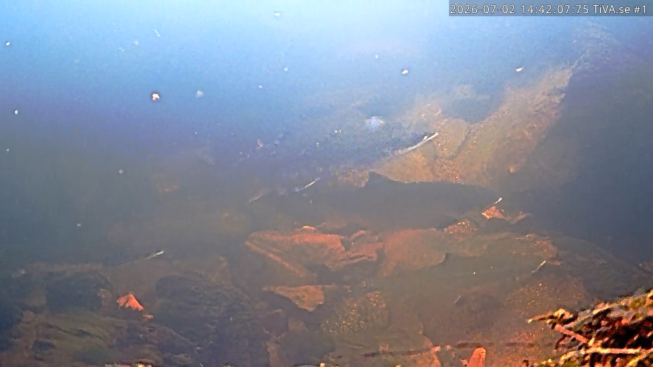 Video 2026-07-02 15:42