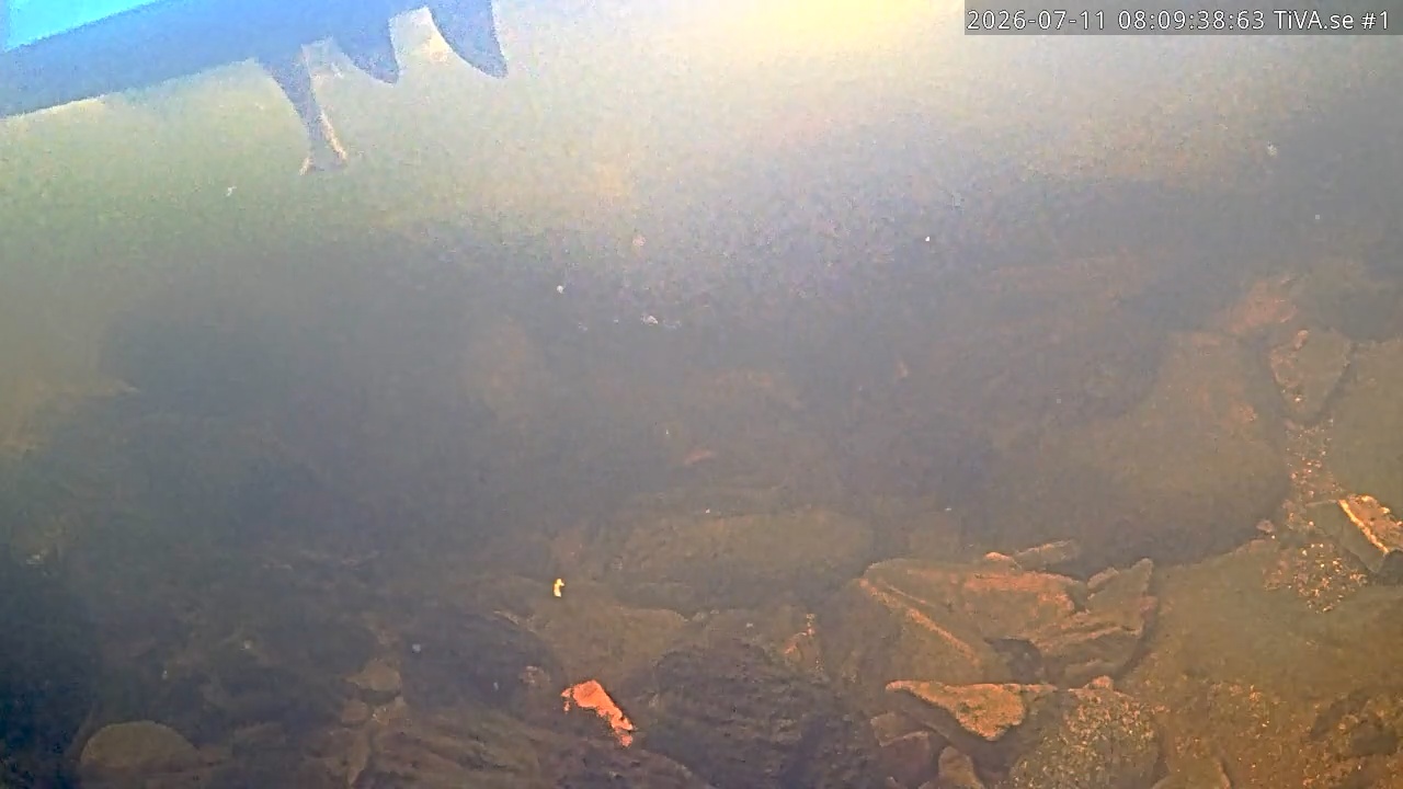 Video 2026-07-11 09:09
