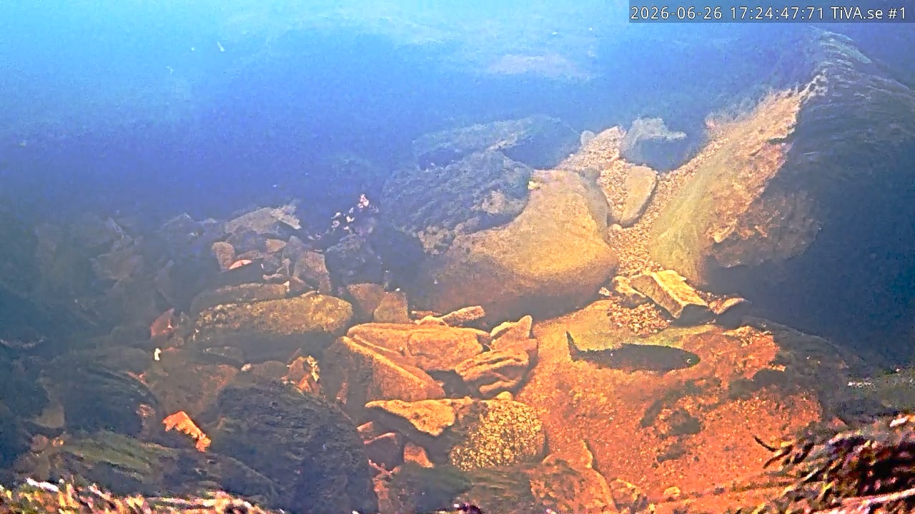 Video 2026-06-26 18:24