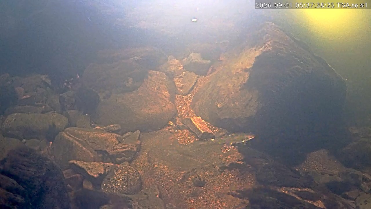 Video 2026-09-01 06:37