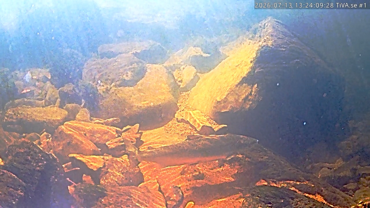 Video 2026-07-13 14:24