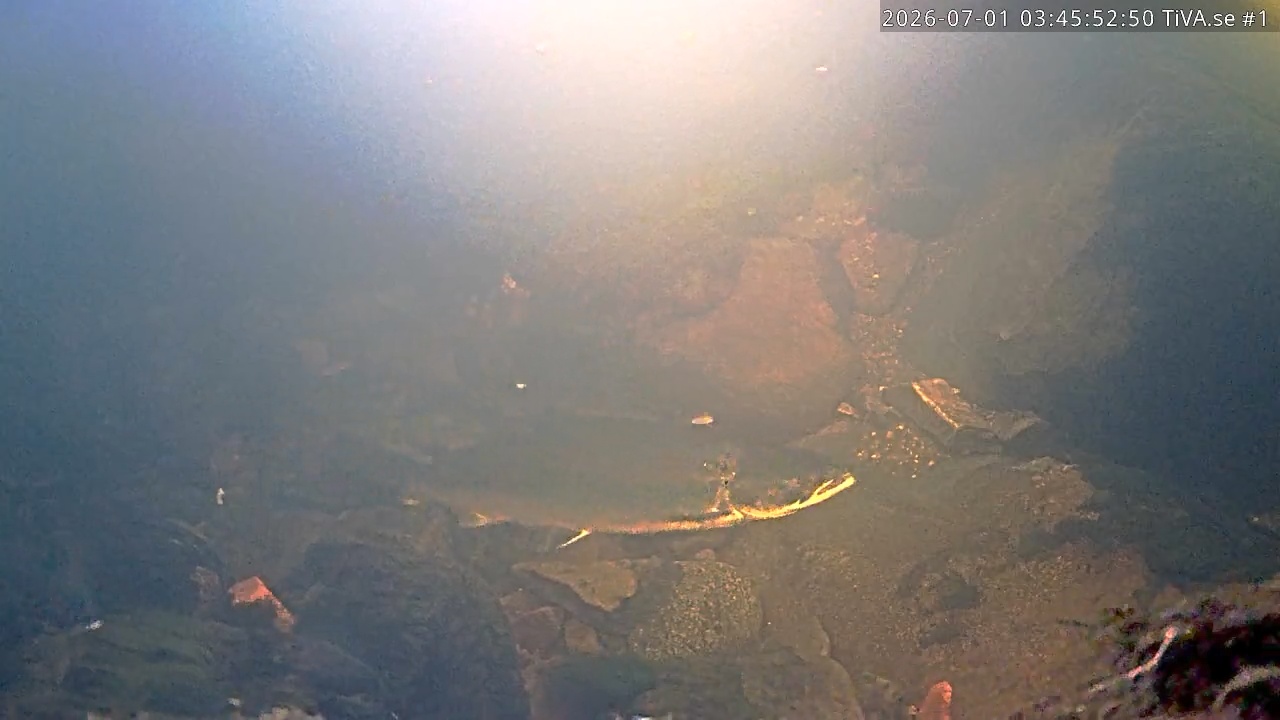 Video 2026-07-01 04:46