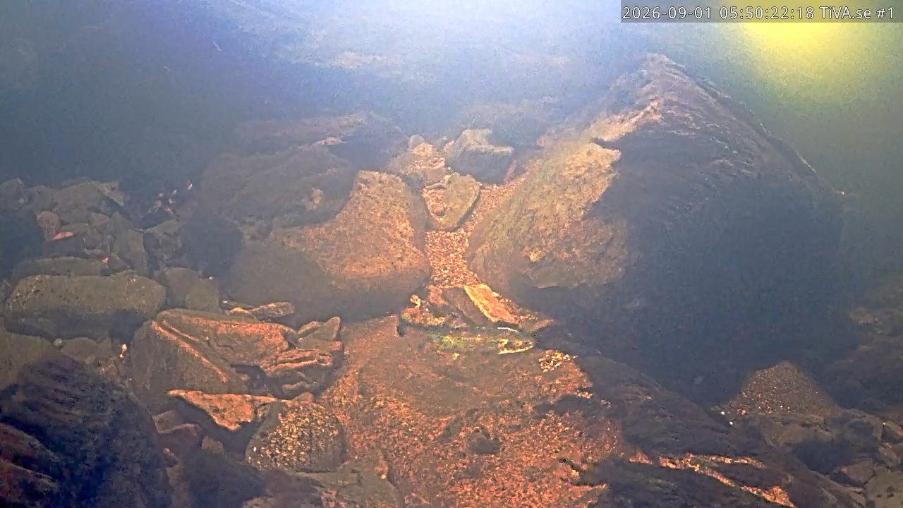 Video 2026-09-01 06:50