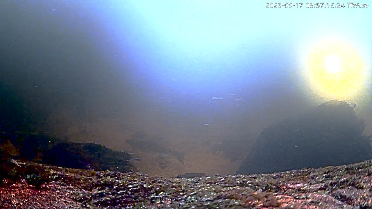 Video 2026-09-17 08:57