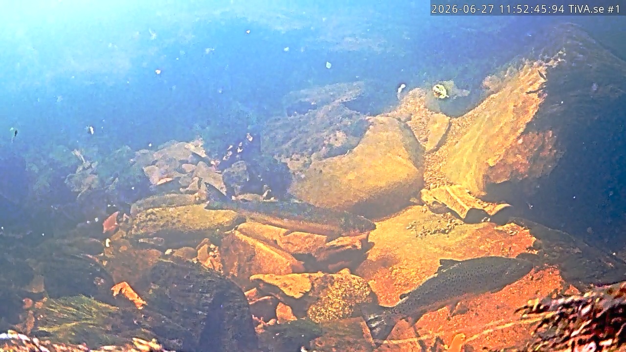 Video 2026-06-27 12:52
