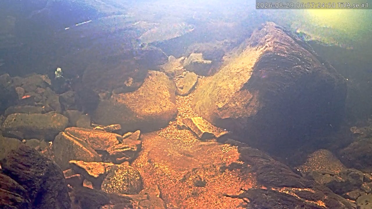 Video 2026-08-29 07:57