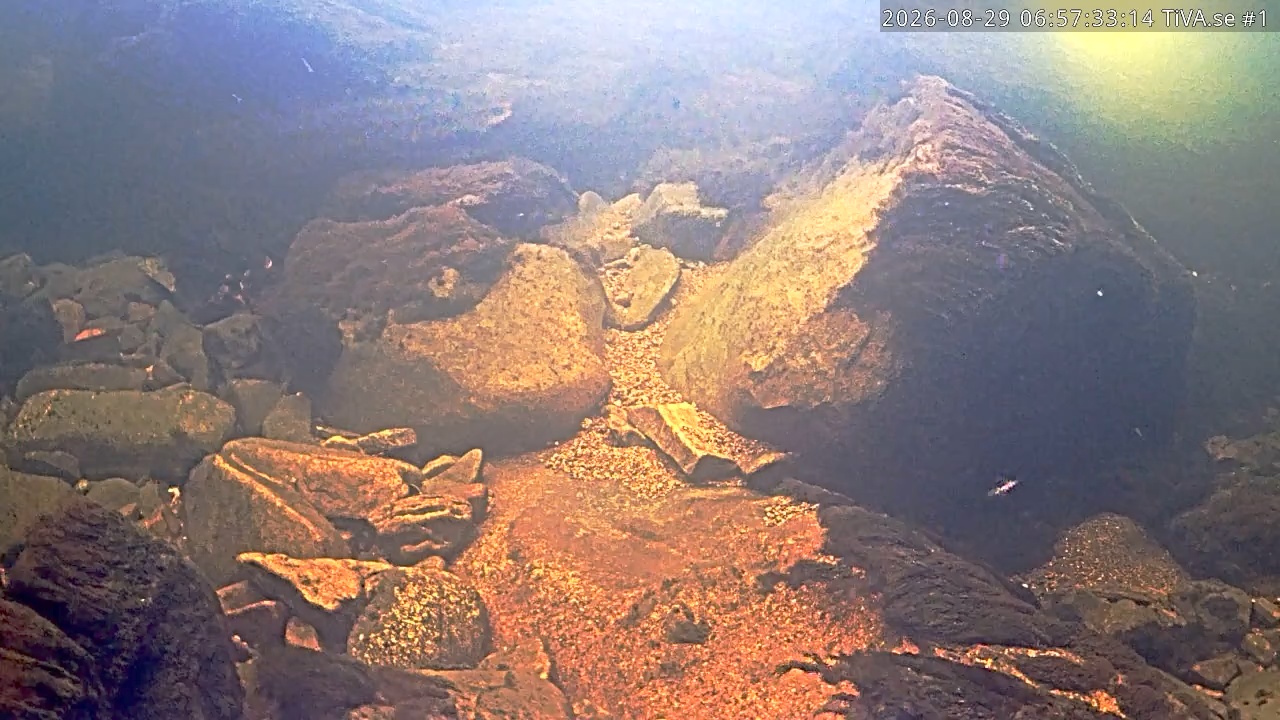 Video 2026-08-29 07:57