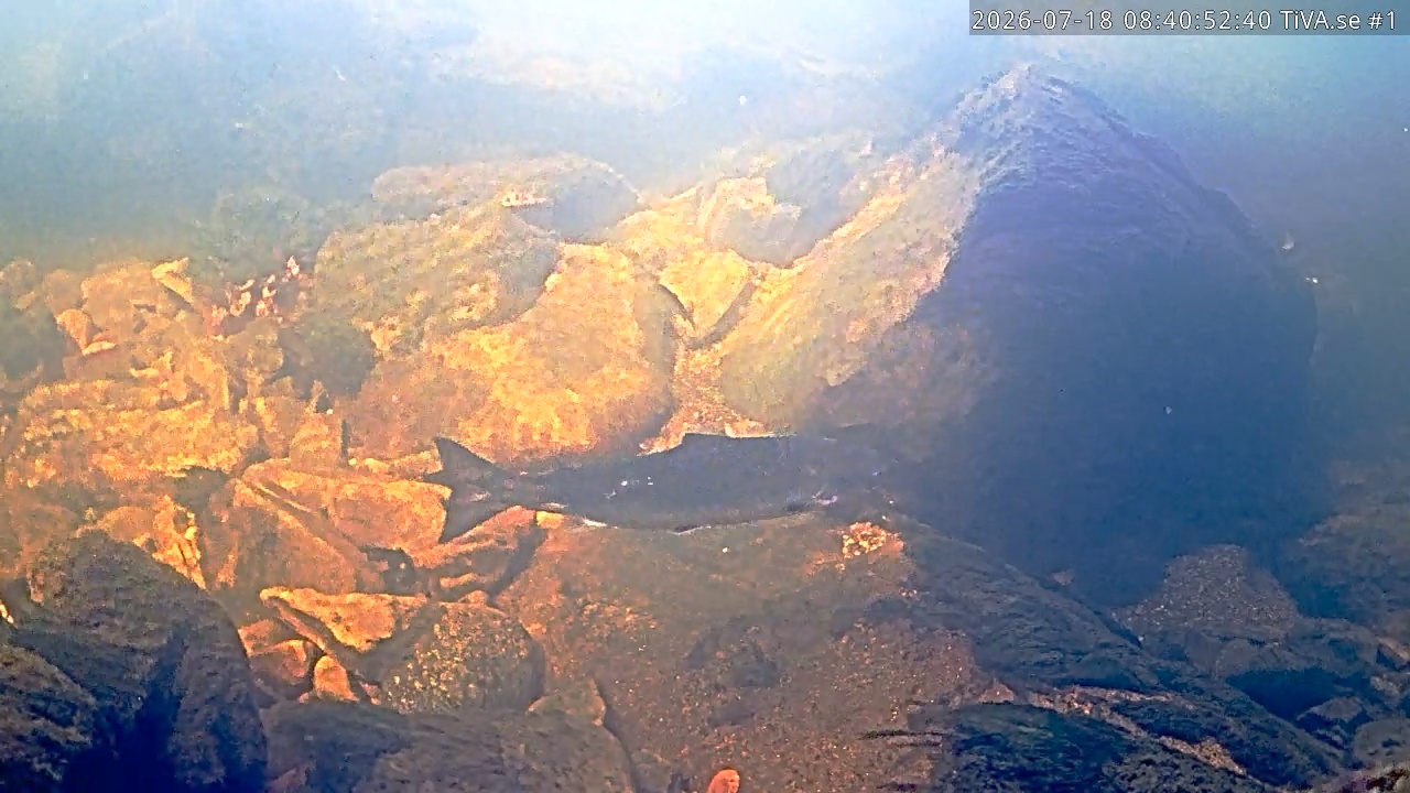 Video 2026-07-18 09:40