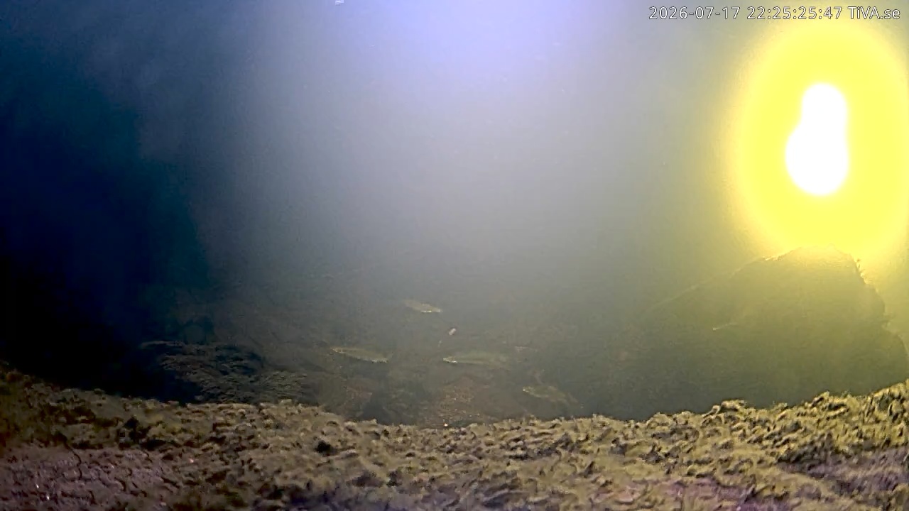 Video 2026-07-17 22:25