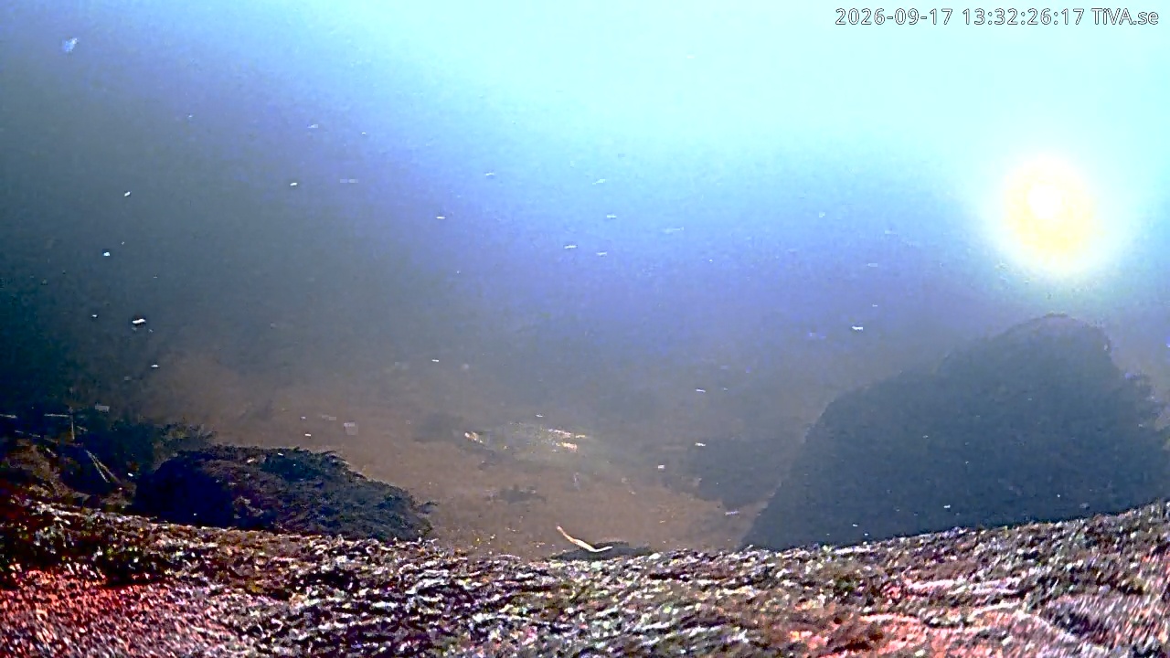 Video 2026-09-17 13:32