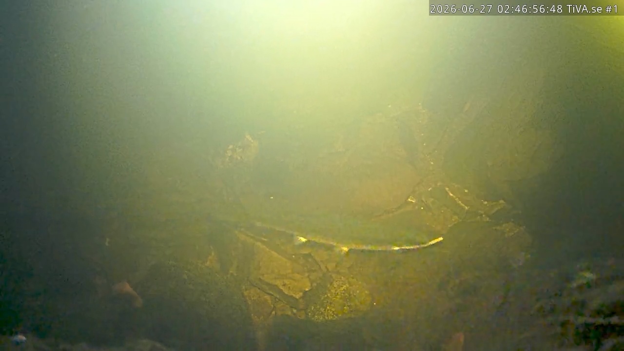 Video 2026-06-27 03:47