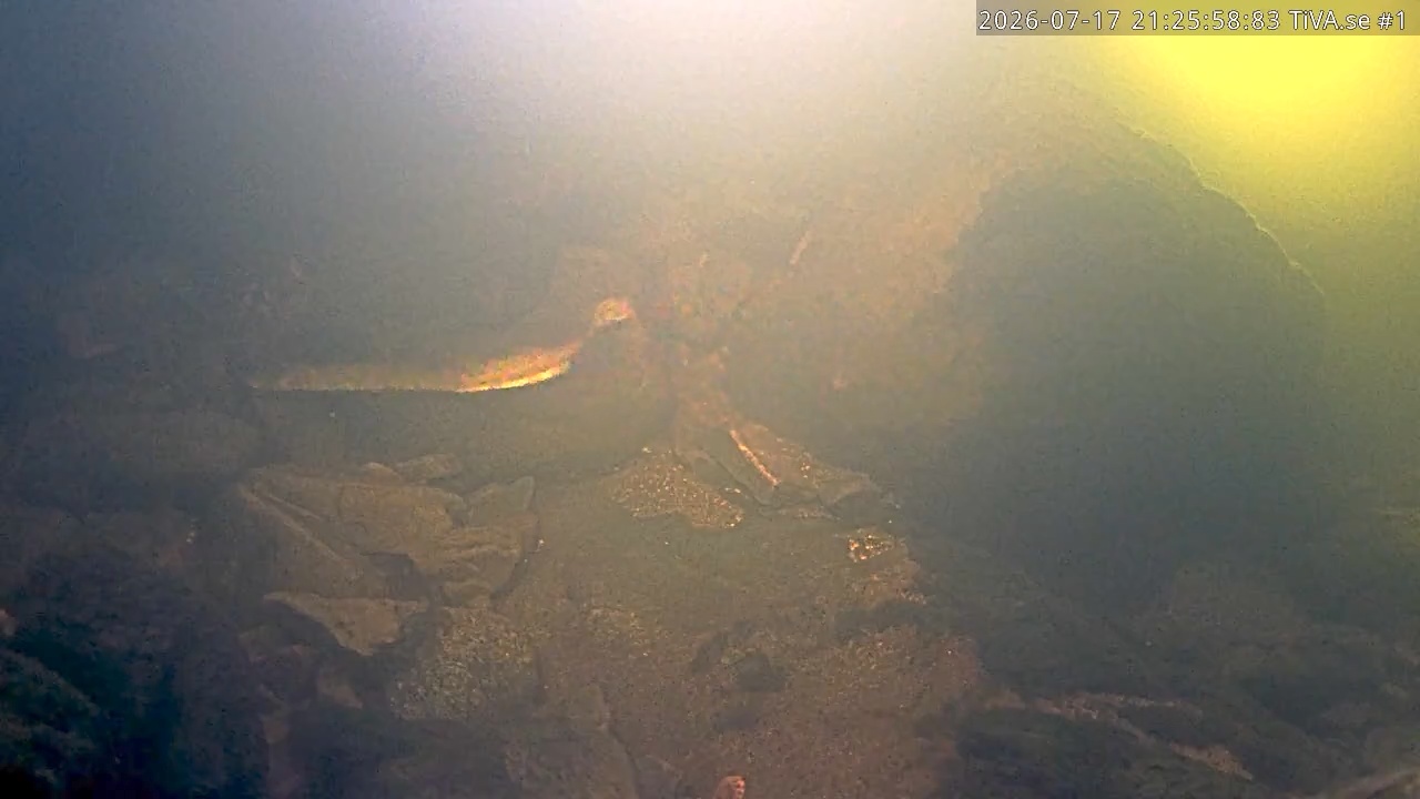 Video 2026-07-17 22:26
