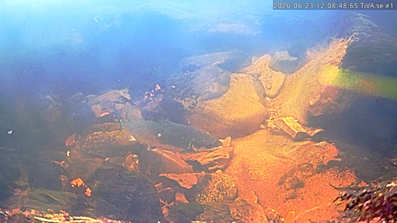 Video 2026-06-23 13:34