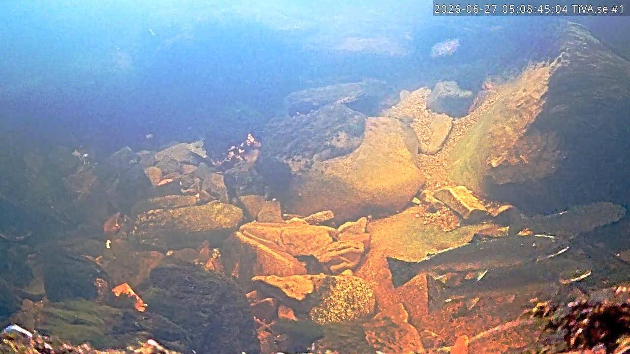 Video 2026-06-27 06:08