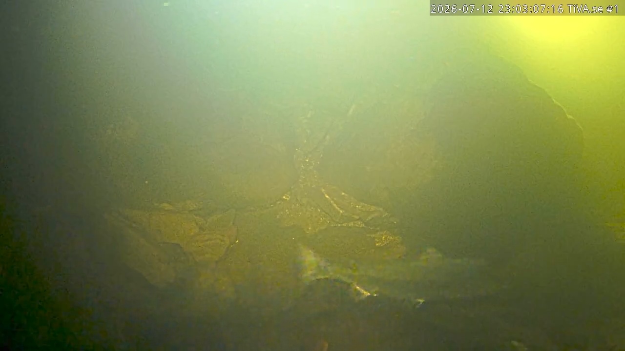 Video 2026-07-13 00:03