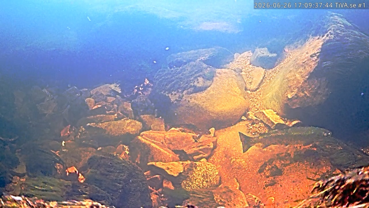 Video 2026-06-26 18:09