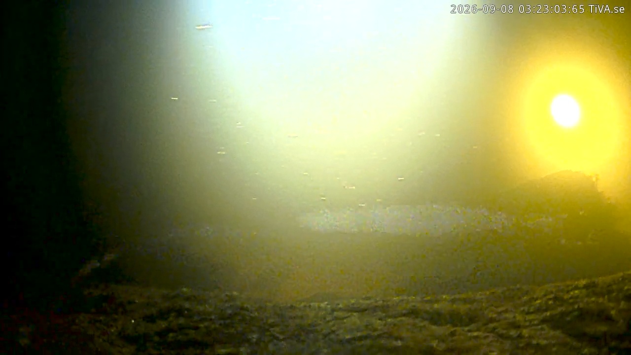 Video 2026-09-08 03:23
