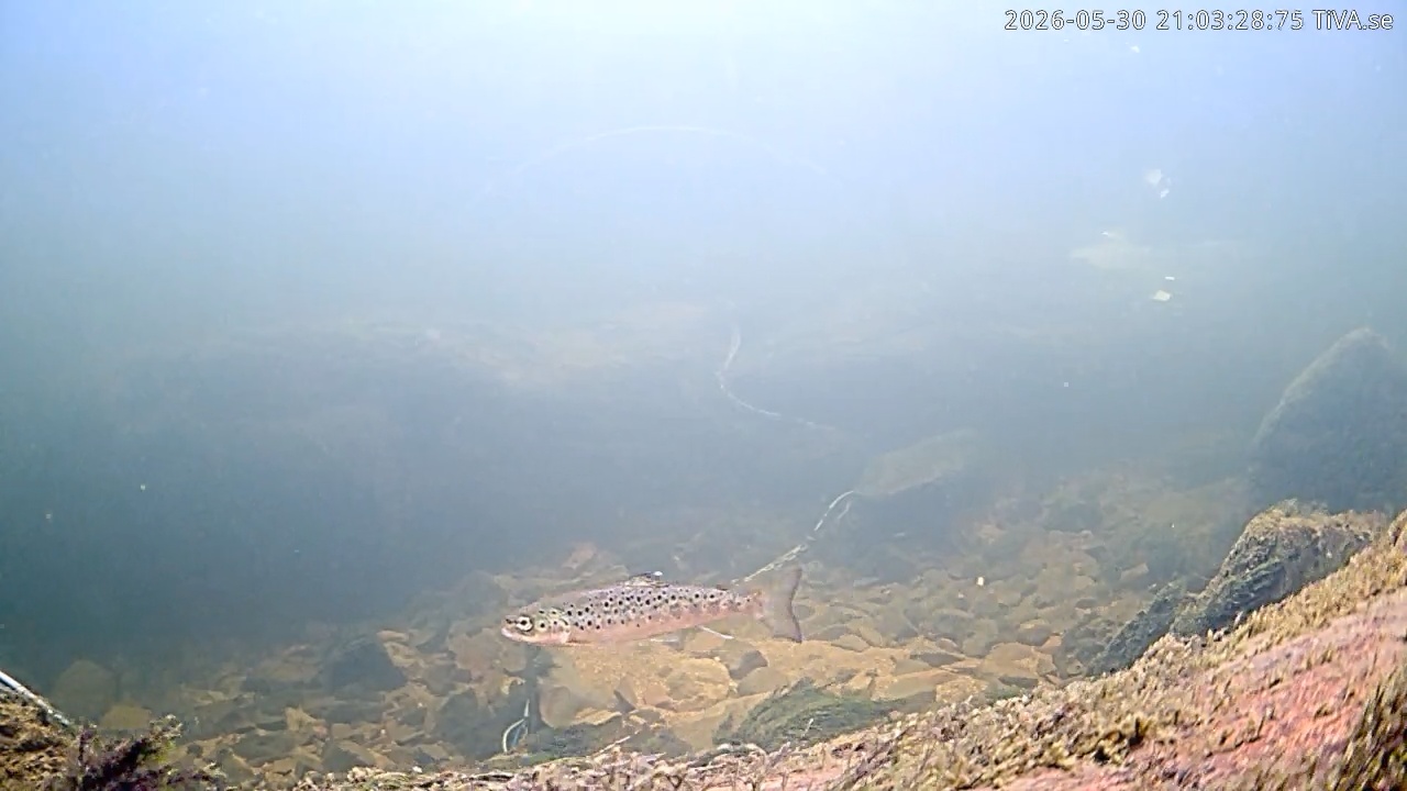 Video 2026-05-30 21:03