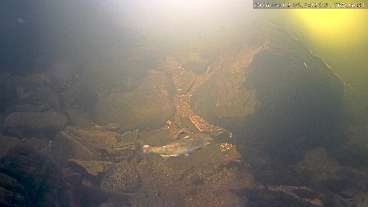 Video 2026-09-02 06:34