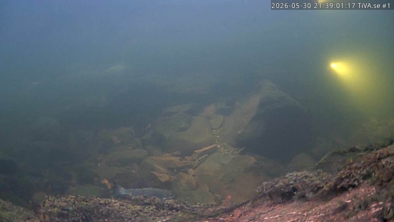 Video 2026-05-30 22:39