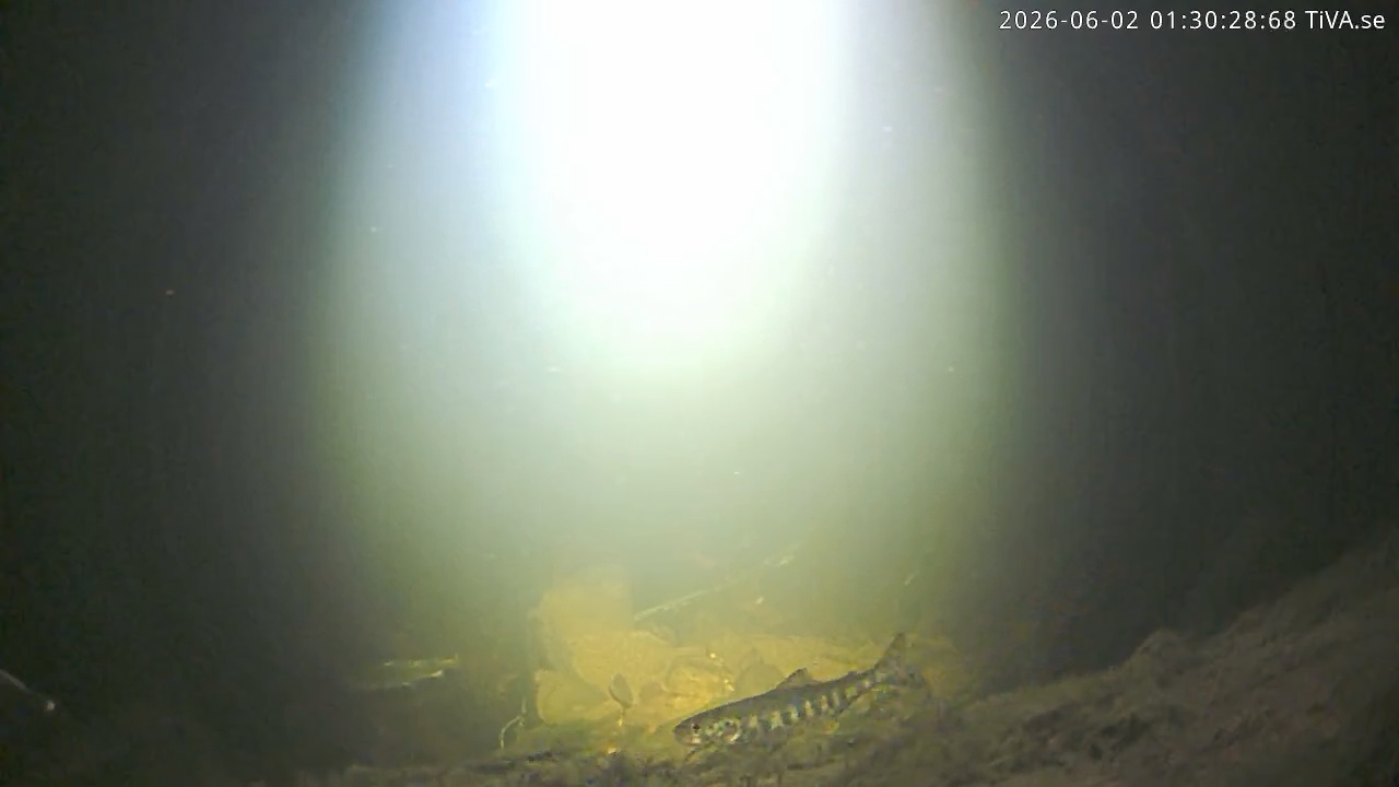 Video 2026-06-02 01:30