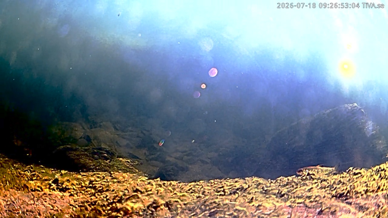 Video 2026-07-18 09:26