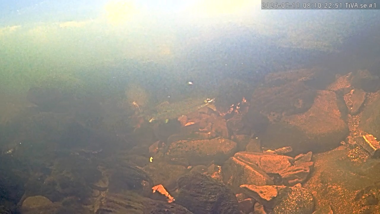 Video 2026-07-11 09:10
