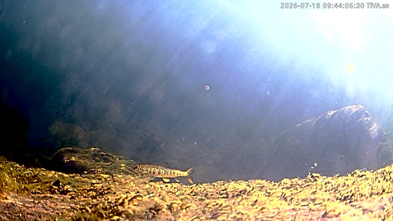 Video 2026-07-18 09:44