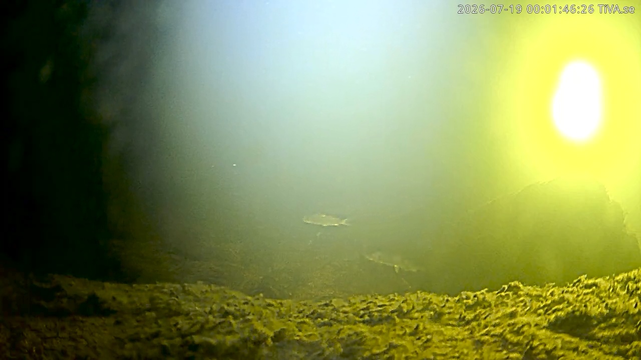 Video 2026-07-19 00:01
