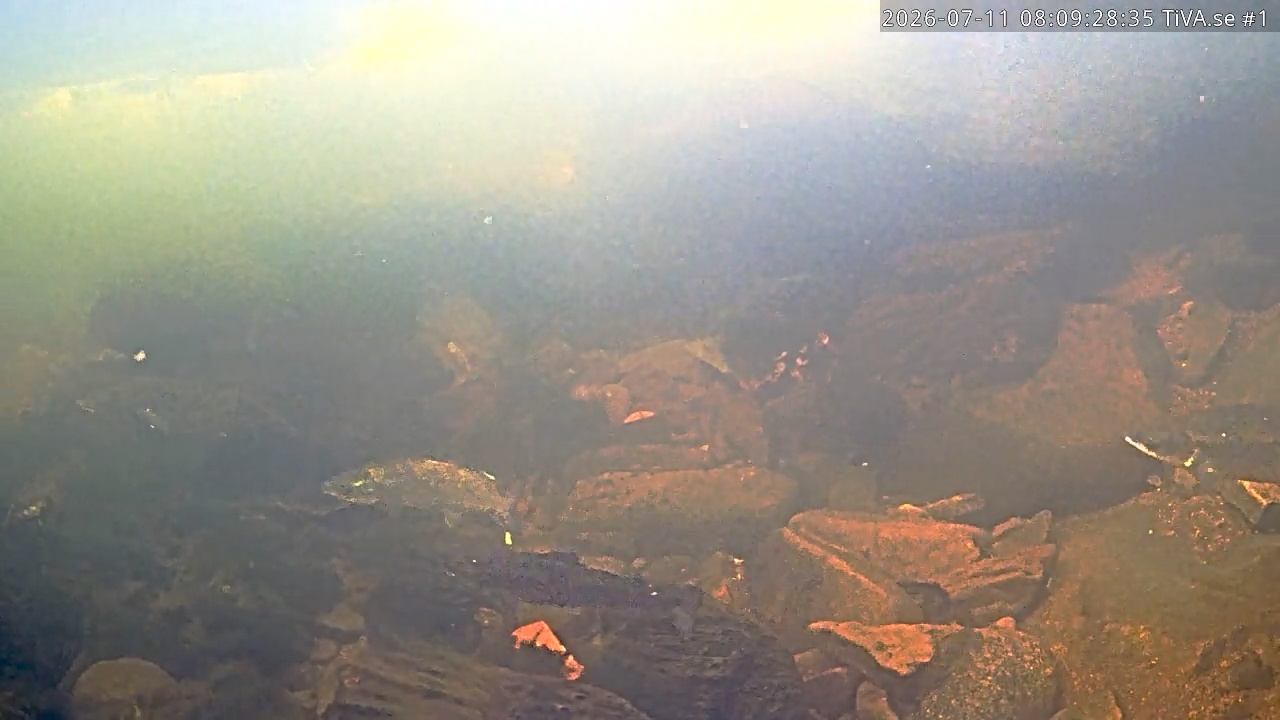 Video 2026-07-11 09:09