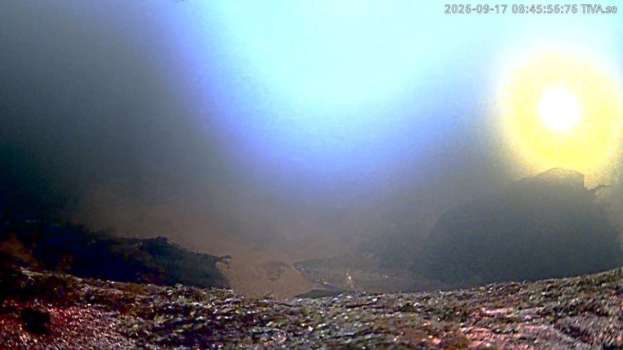 Video 2026-09-17 08:46
