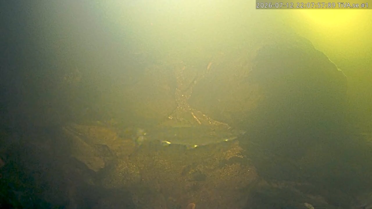 Video 2026-07-12 23:08