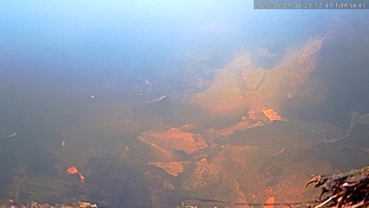 Video 2026-06-29 07:28