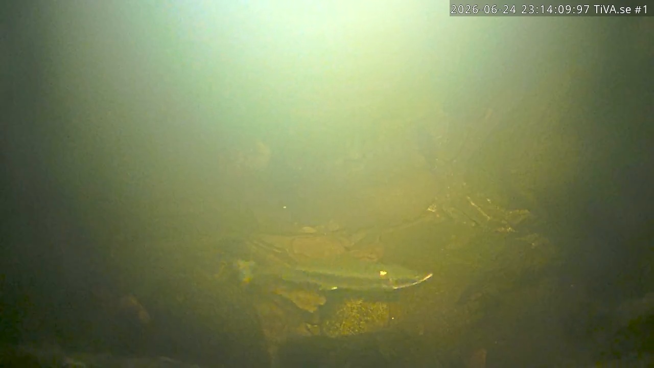 Video 2026-06-25 00:14