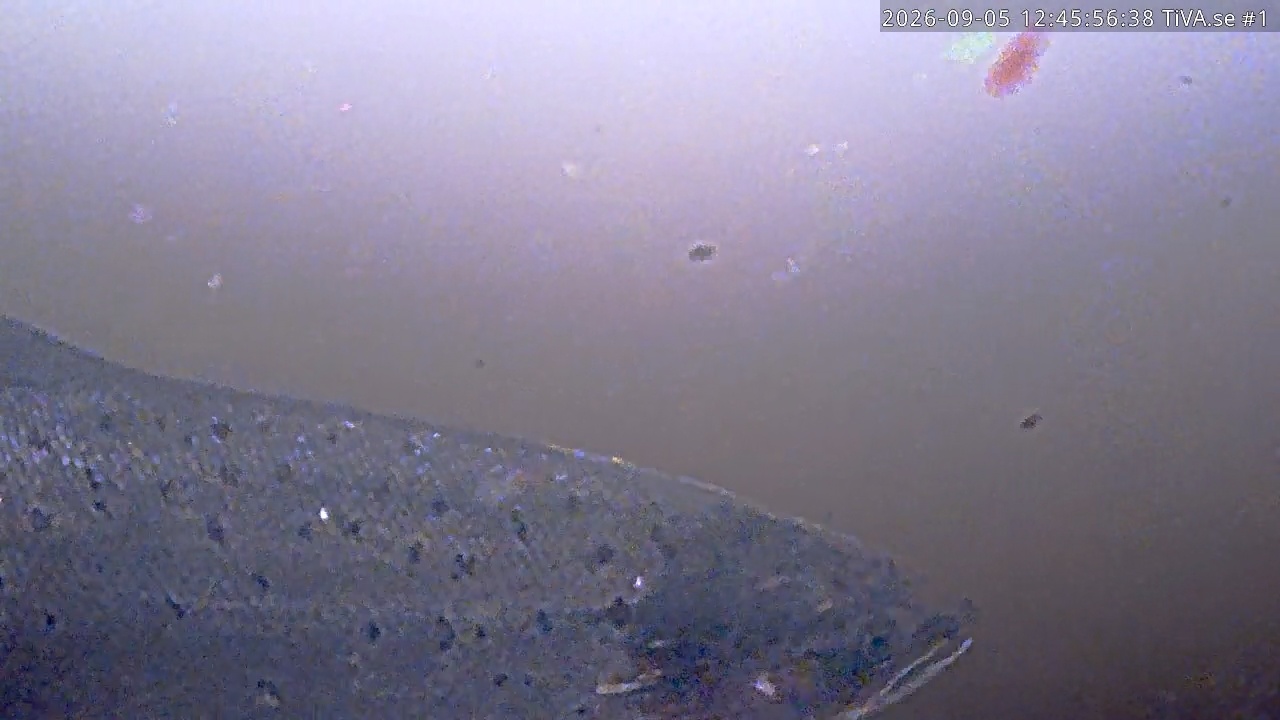 Video 2026-09-05 13:46