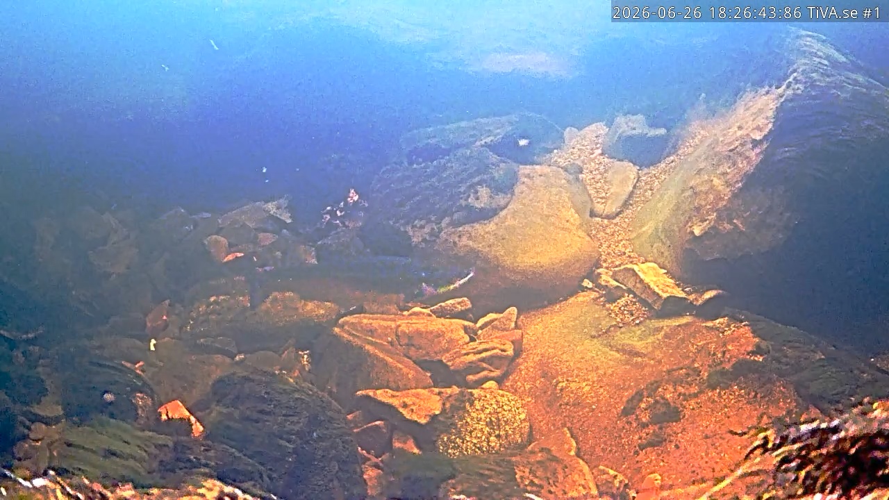 Video 2026-06-26 19:26