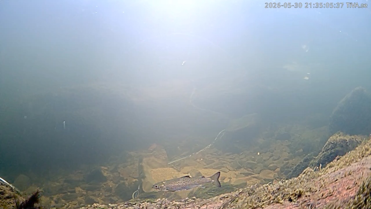 Video 2026-05-30 21:35