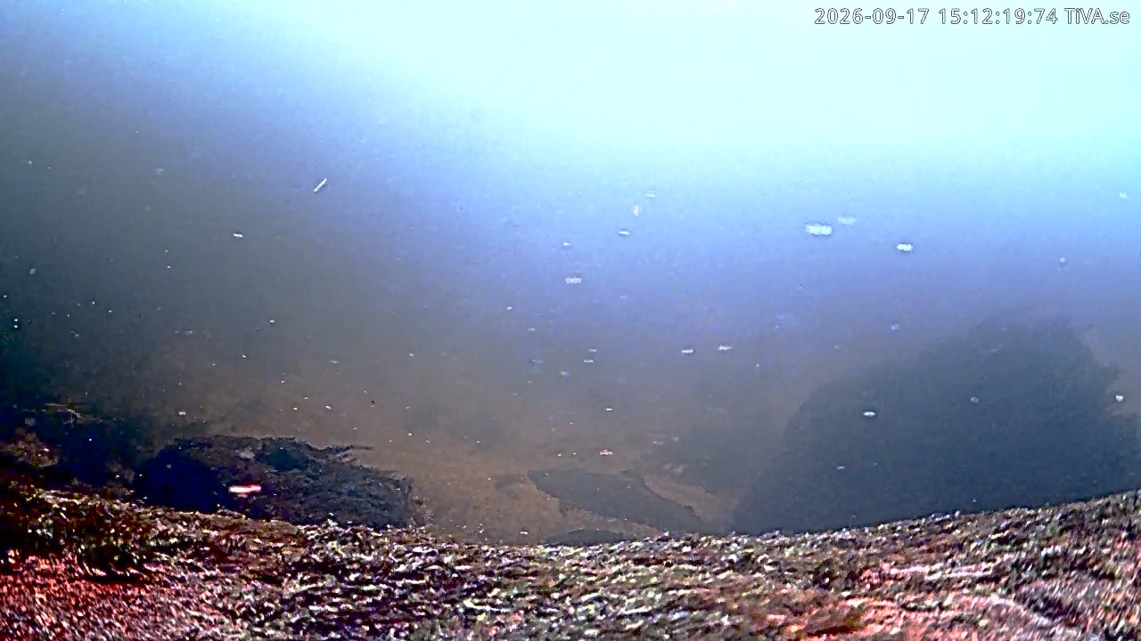 Video 2026-09-17 15:12