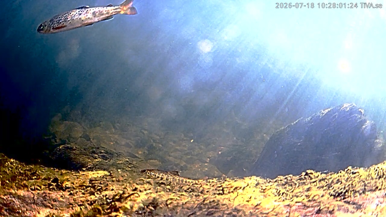 Video 2026-07-18 10:28