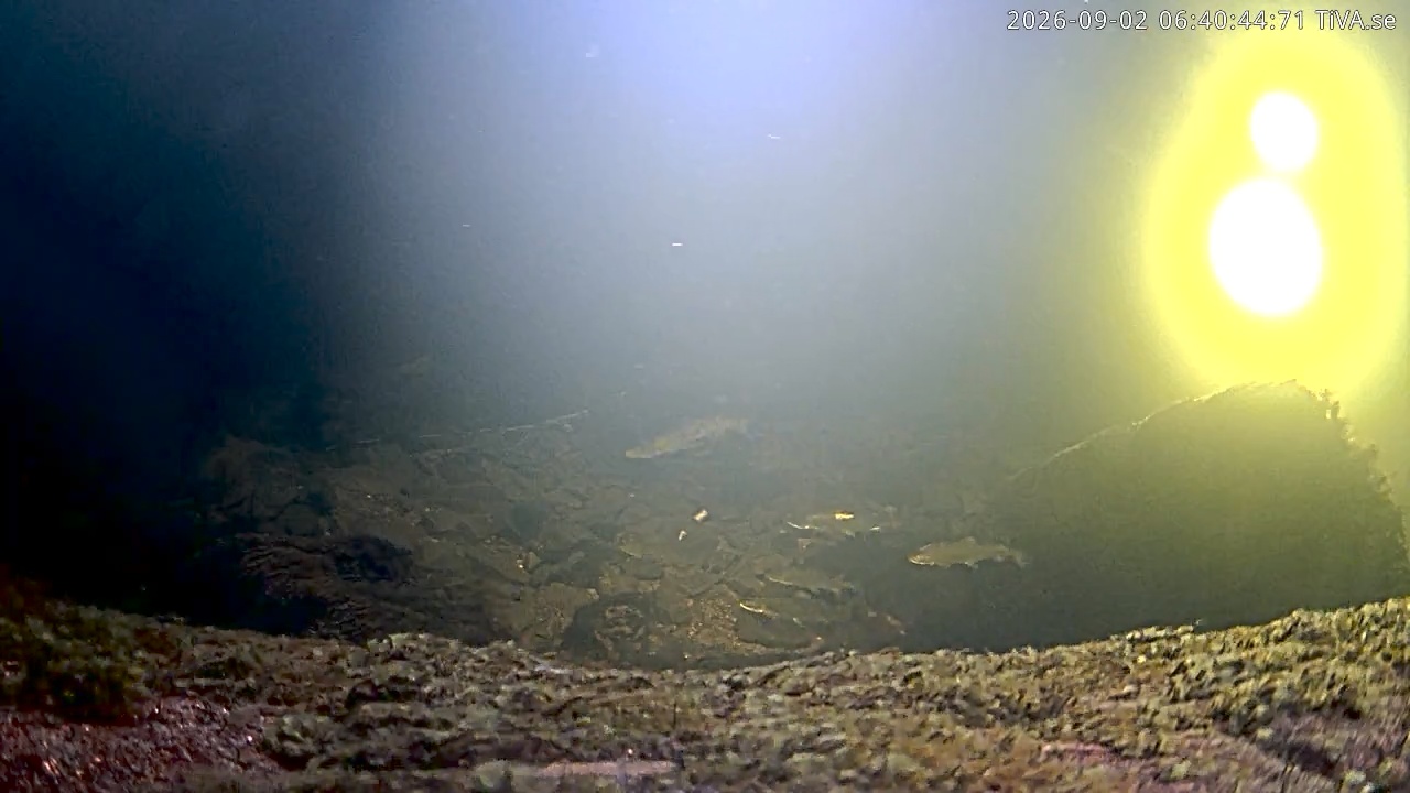 Video 2026-09-02 06:40
