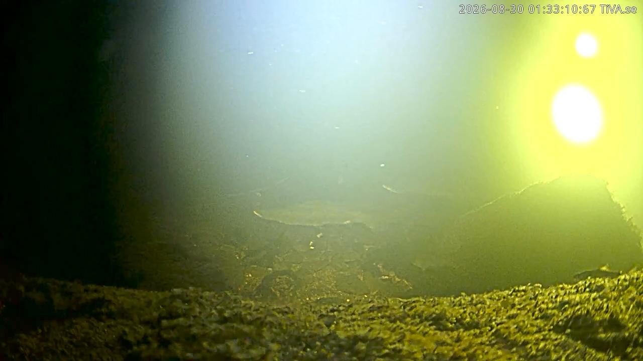 Video 2026-08-30 01:33