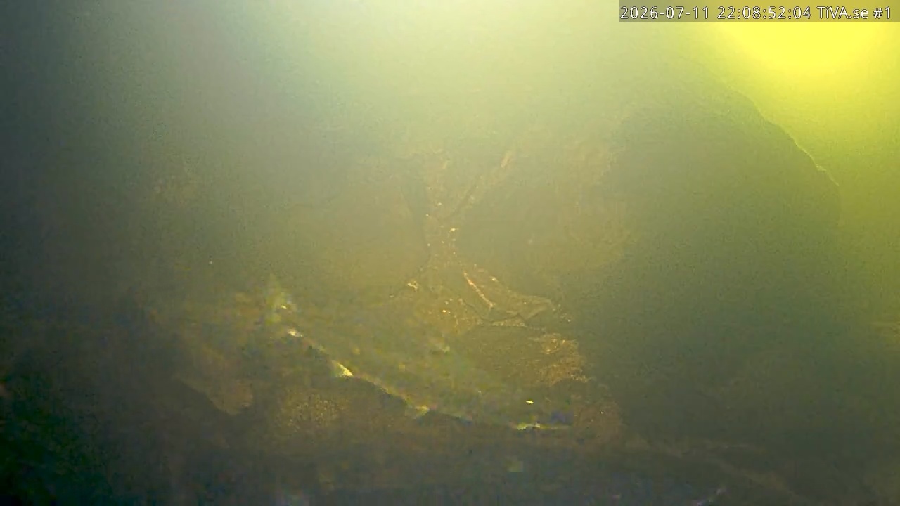 Video 2026-07-11 23:08