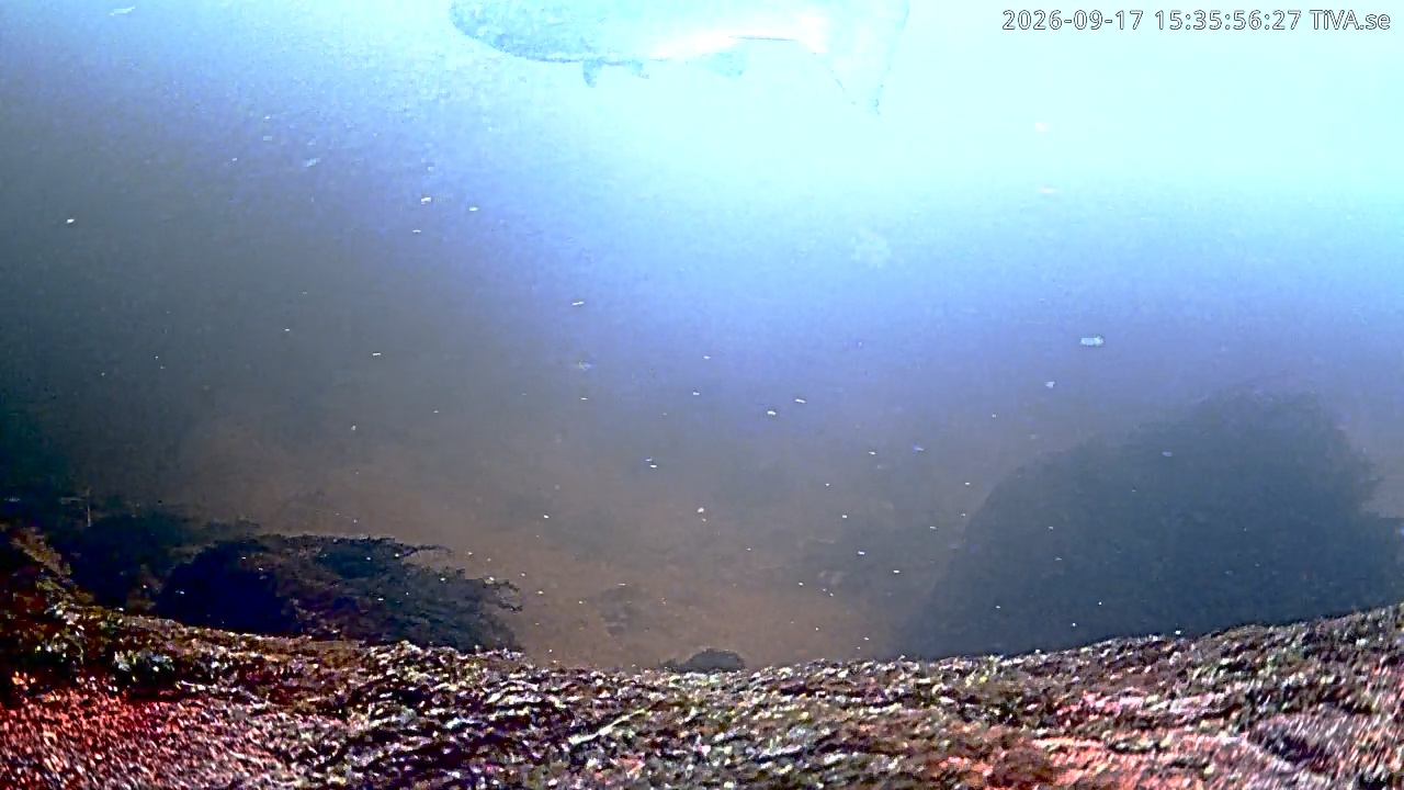 Video 2026-09-17 15:36