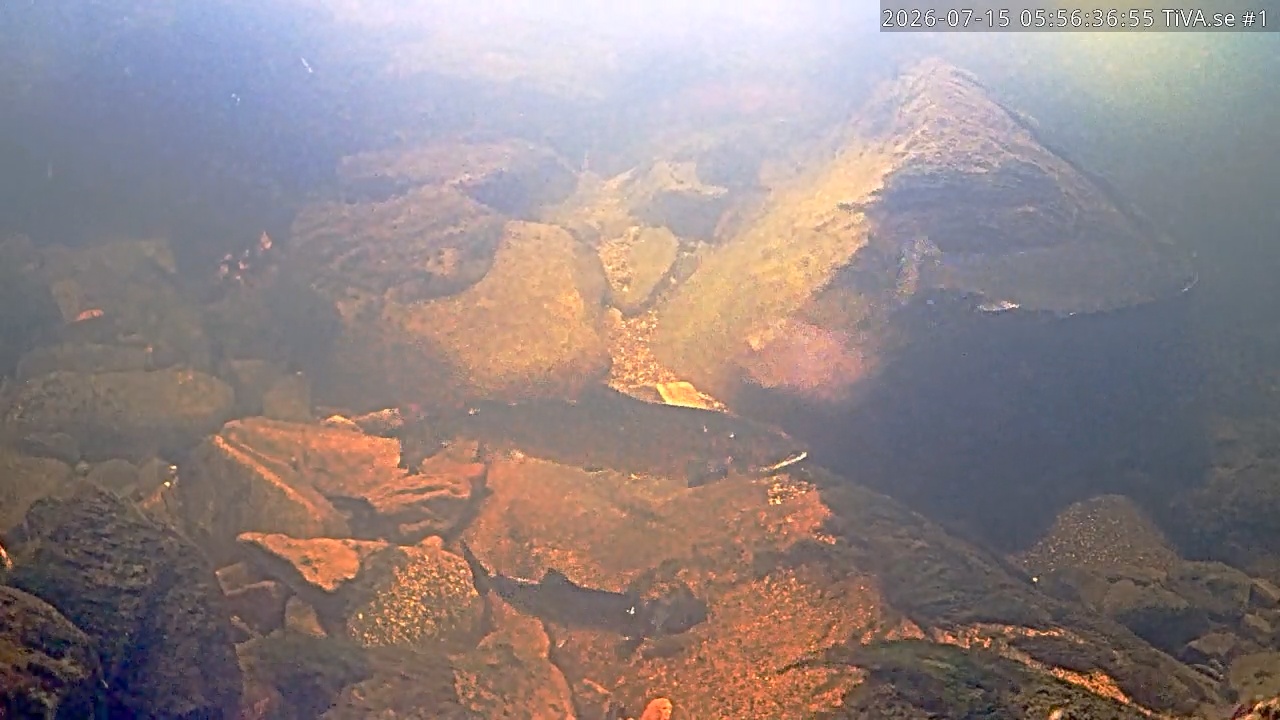 Video 2026-07-15 06:56