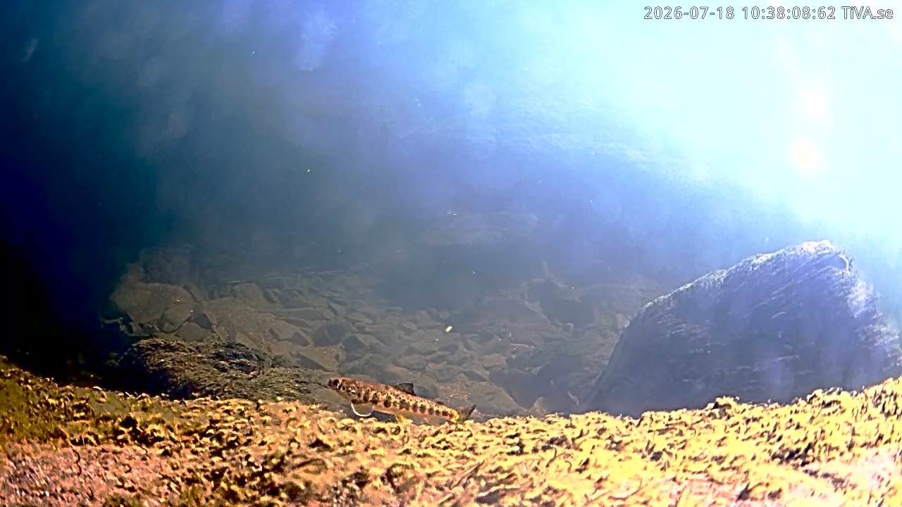 Video 2026-07-18 10:38